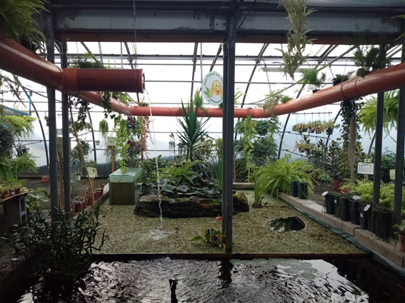 Scegli e acquista le piante che desideri con la nostra vetrina interattiva @ Le Serre