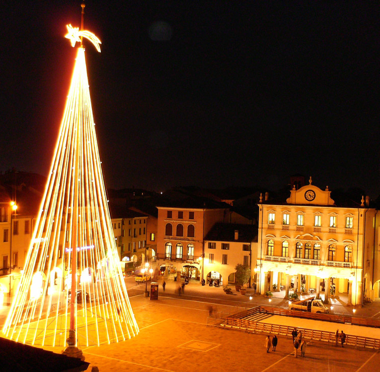 Albero di Natale in piazza @ Piazza Maggiore