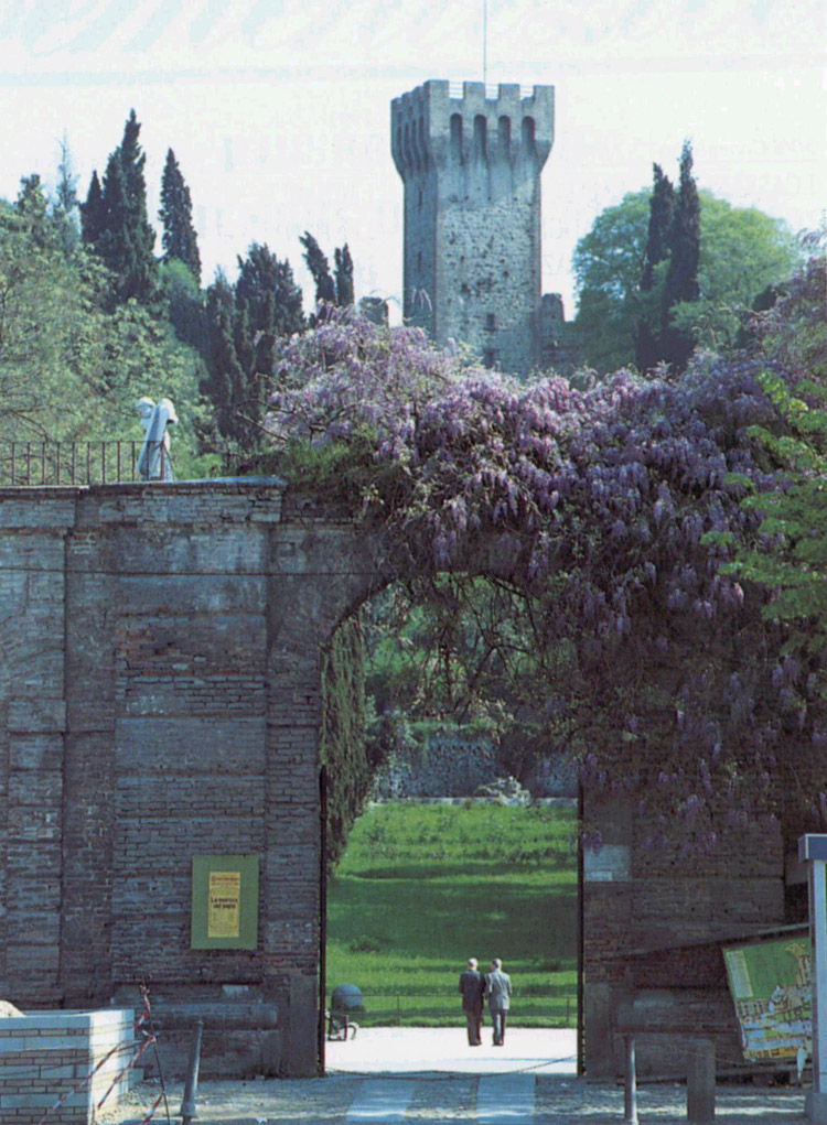 La Torre dall'ingresso dei Parco @ Mastio del Castello Carrarese