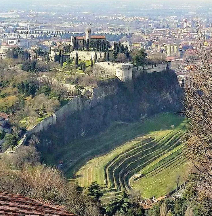 Viticoltura e produzione vinicola ai piedi del Castello @ Vigneto Pusterla – Il Monumento Verde ai piedi del Castello