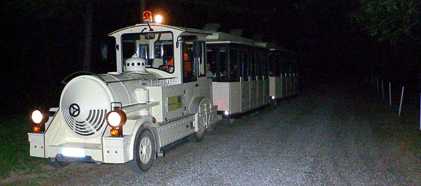 Trenino notturno @ Parco regionale La Mandria