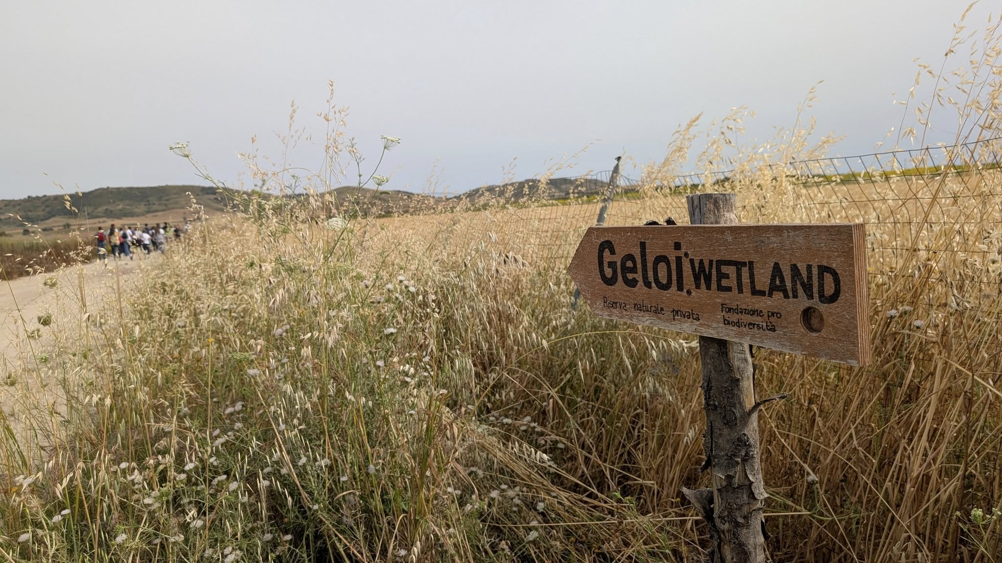 Un presidio di legalità e accoglienza: il Centro Visitatori @ Geloi Wetland - Ass. Centro Territorio, Sviluppo e Ambiente e Uni Catania