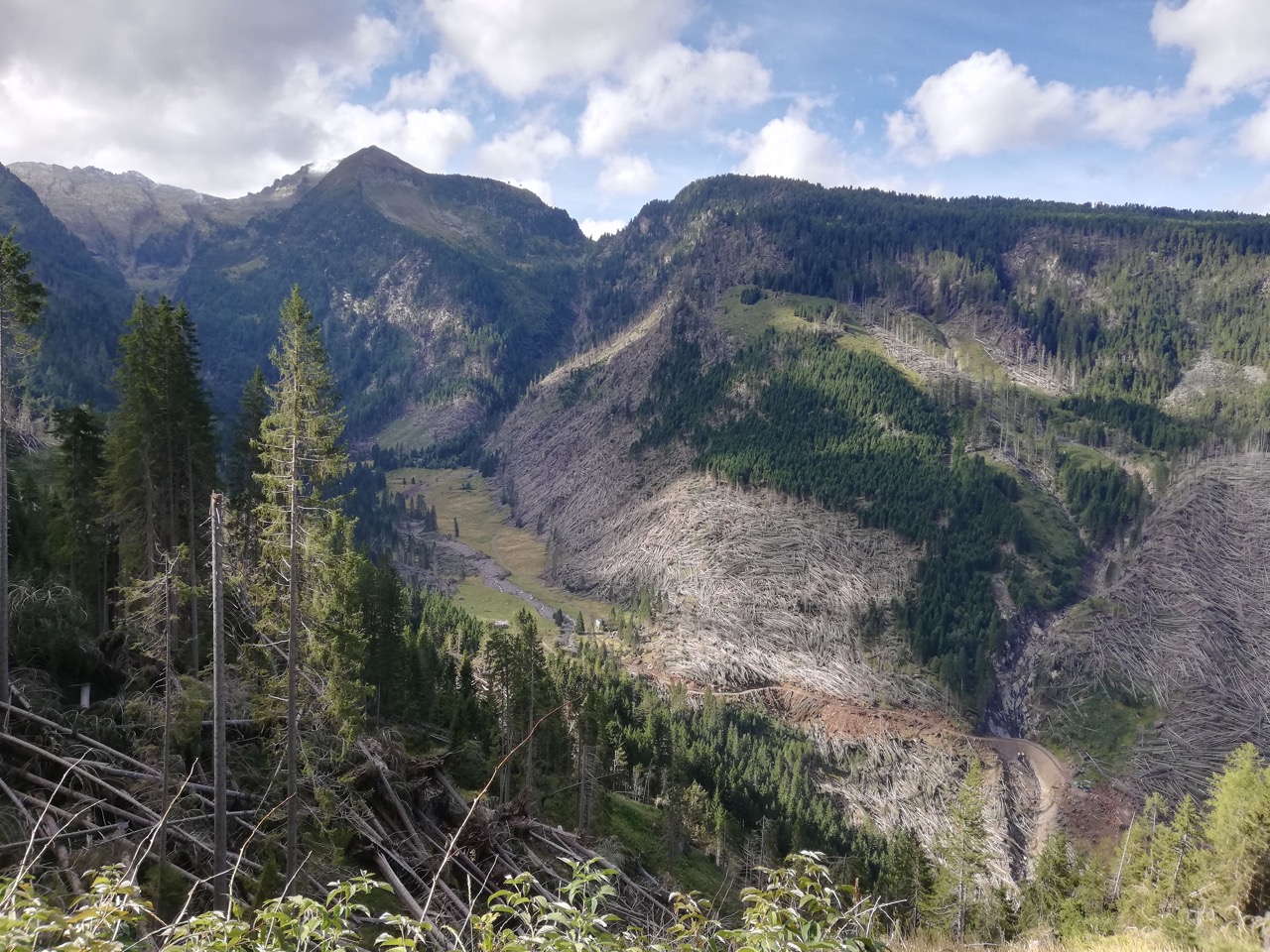 Le foreste dei Vicini: un millennio di paesaggio condiviso @ La Magnifica Comunità di Fiemme