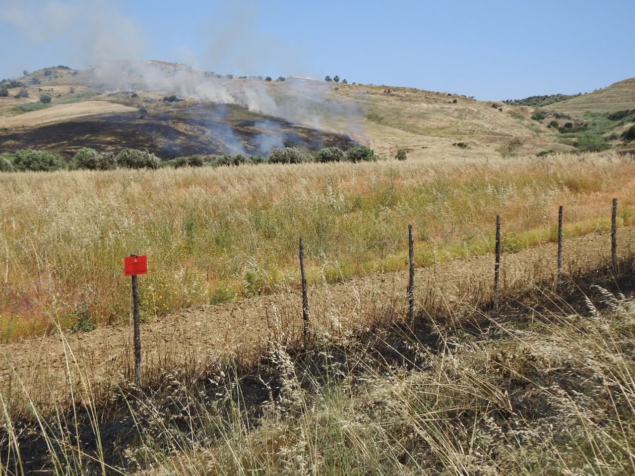 7,5 km di recinzioni e fasce tagliafuoco: protezione attiva dell'oasi @ Geloi Wetland - Ass. Centro Territorio, Sviluppo e Ambiente e Uni Catania