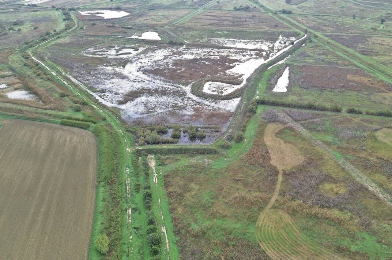 Depressioni, avvallamenti e specchi d'acqua: il biotopo ricreato @ Geloi Wetland - Ass. Centro Territorio, Sviluppo e Ambiente e Uni Catania