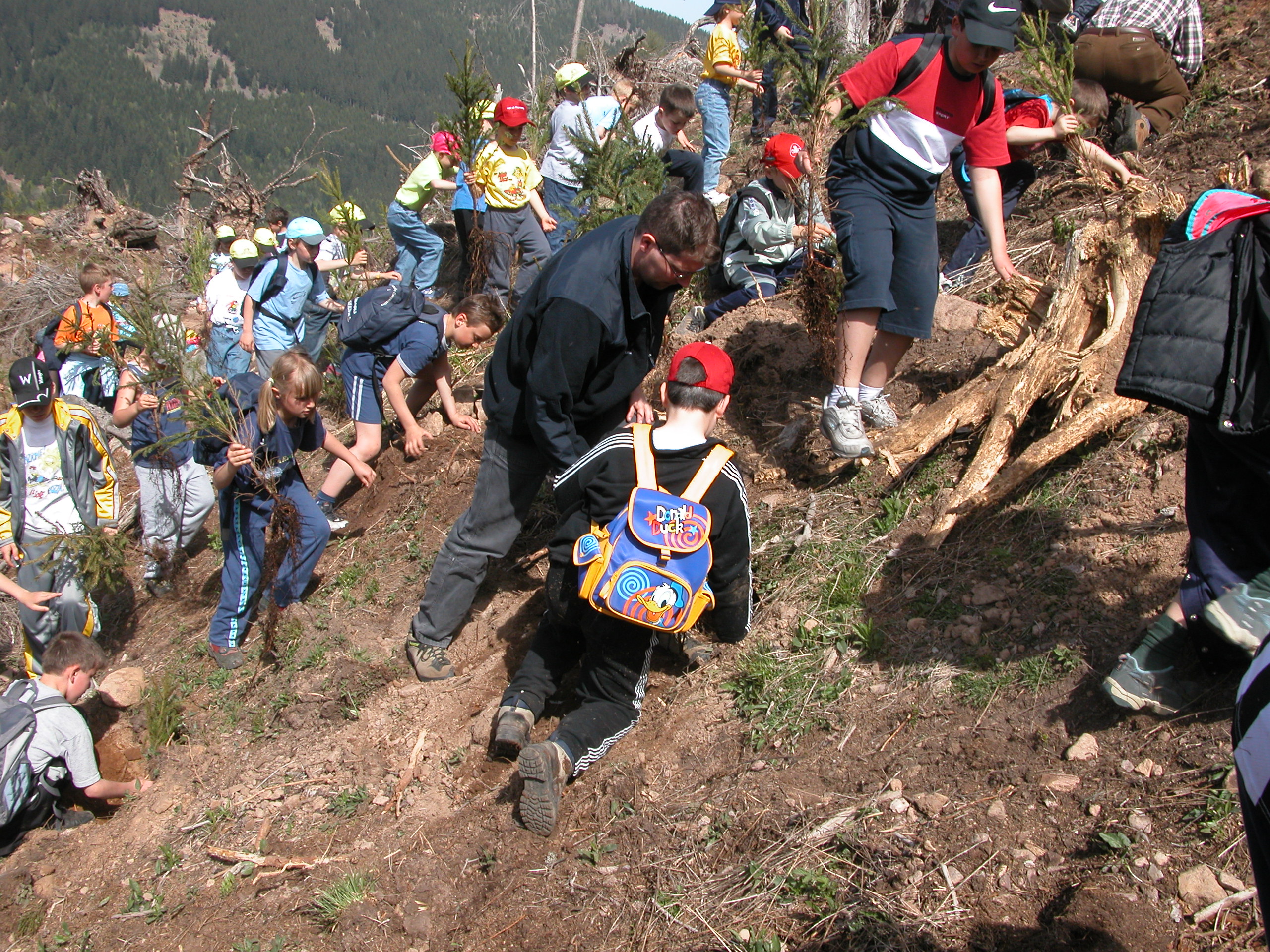 Rimboschimenti partecipativi: cittadini, scuole e aziende in bosco @ La Magnifica Comunità di Fiemme