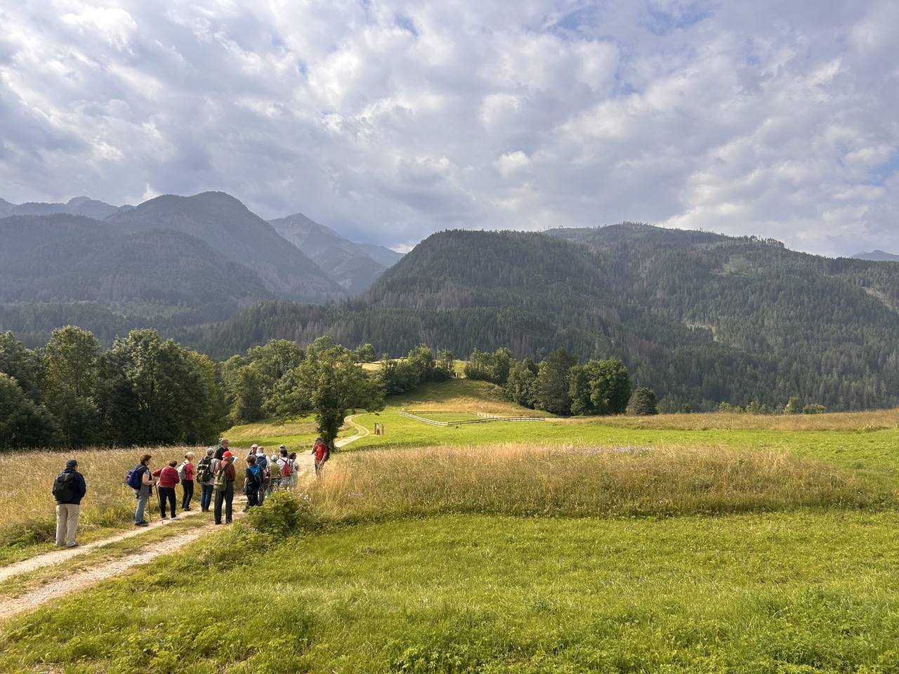 Convegni, uscite sul territorio e periodico trimestrale: la MCF comunica @ La Magnifica Comunità di Fiemme