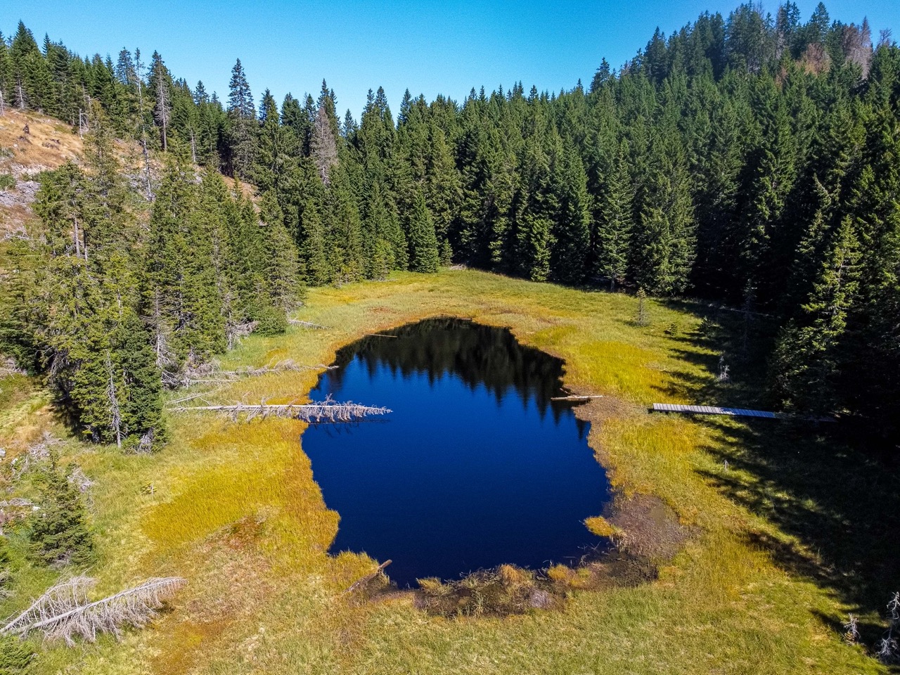 Il cambiamento climatico e il rischio idrogeologico in quota @ La Magnifica Comunità di Fiemme