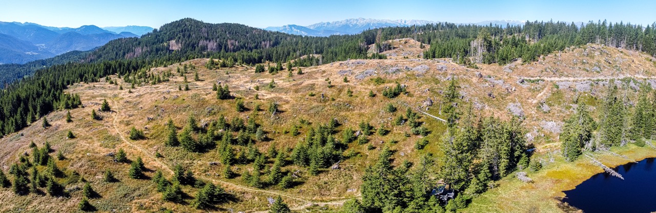 I numeri di una gestione millenaria: i risultati 2020–2024 @ La Magnifica Comunità di Fiemme