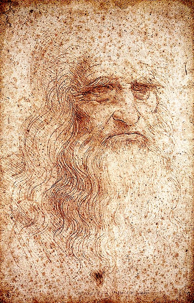Disegni di Leonardo a Torino @ Biblioteca Reale