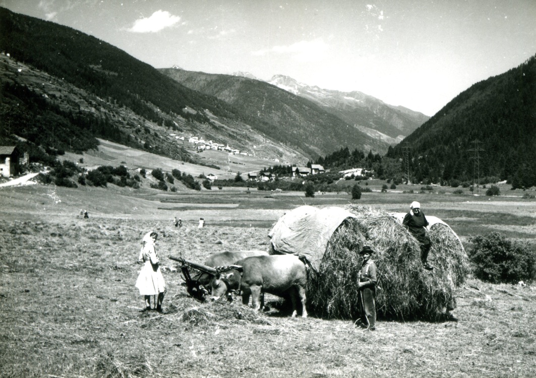 Vermiglio negli anni '50 @ Terre coltivate. Storia dei paesaggi agrari del Trentino