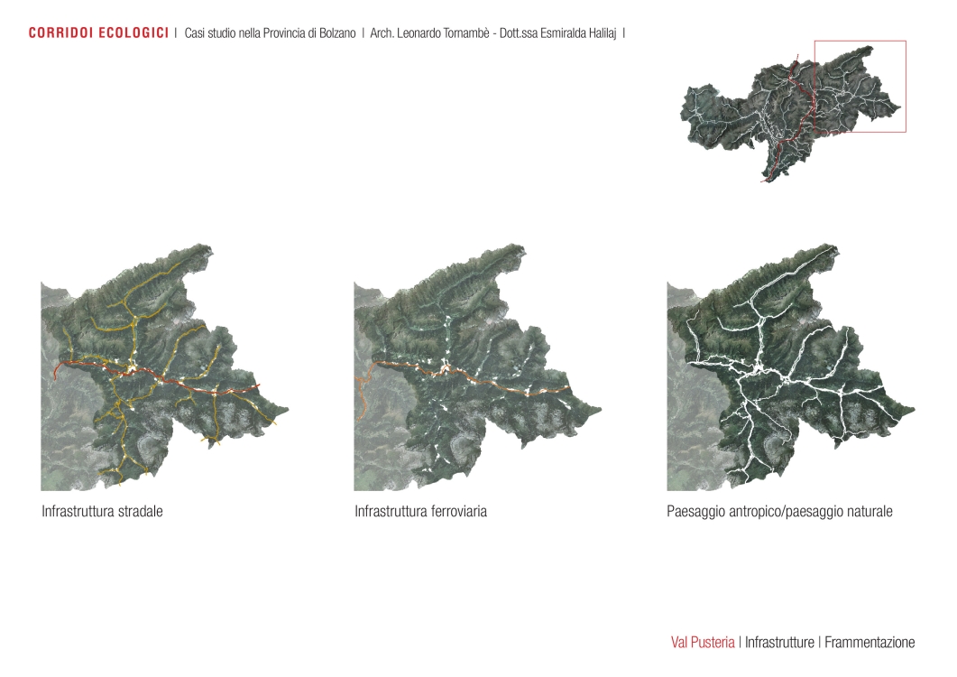 Analisi infrastrutture @ Corridoi ecologici - casi studio nella provincia di Bolzano