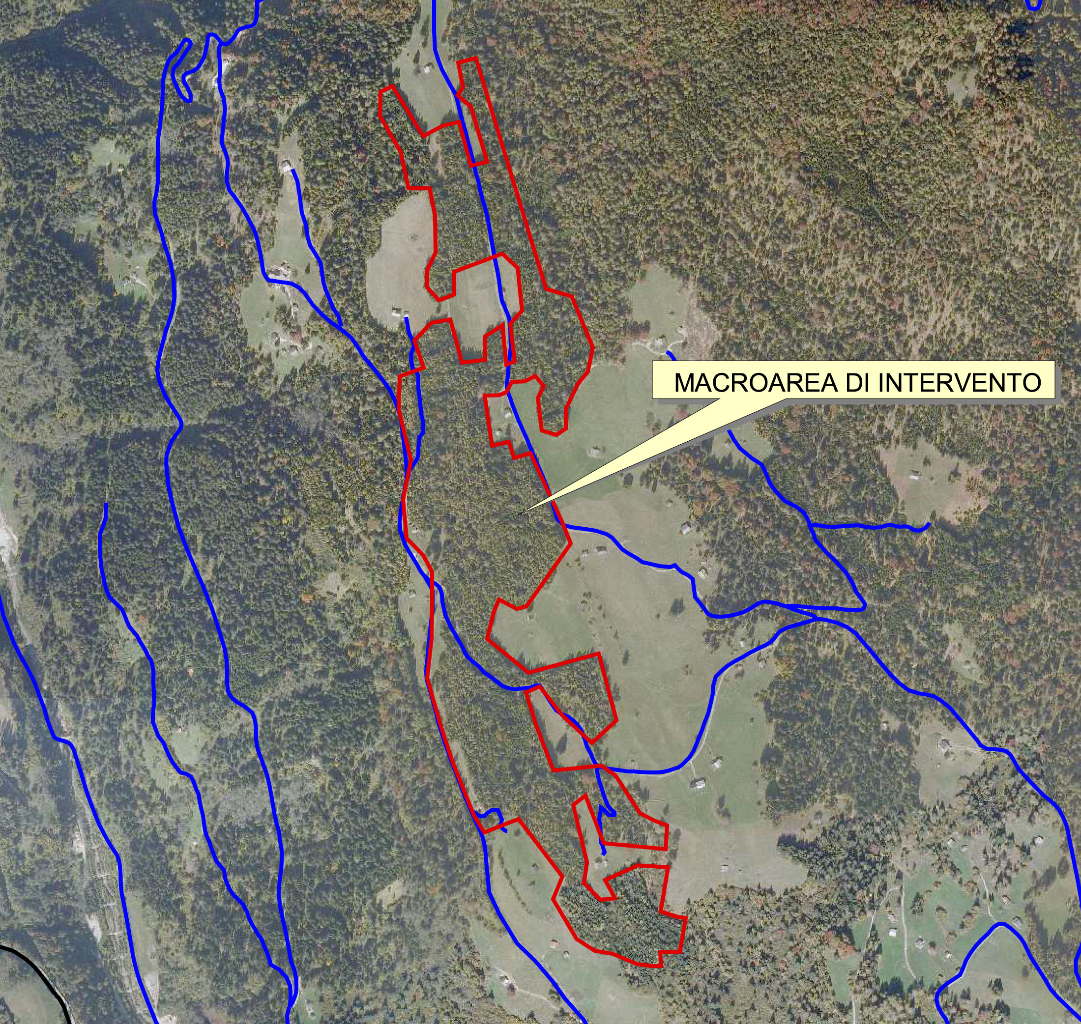 Il territorio negli anni 2000 @ Riabilitazione di praterie montane da fieno. Primiero (TN)