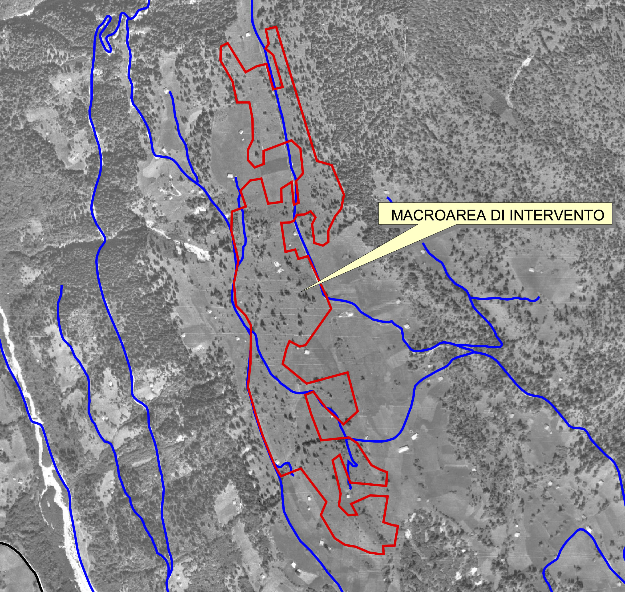 Il territorio negli anni '70 @ Riabilitazione di praterie montane da fieno. Primiero (TN)