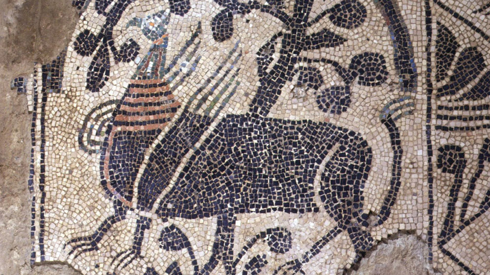 Gli antichi mosaici @ Abbazia di Fruttuaria