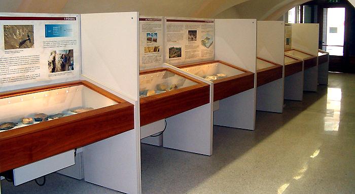 Ampie collezioni di fossili @ Museo Paleontologico Giulio Maini