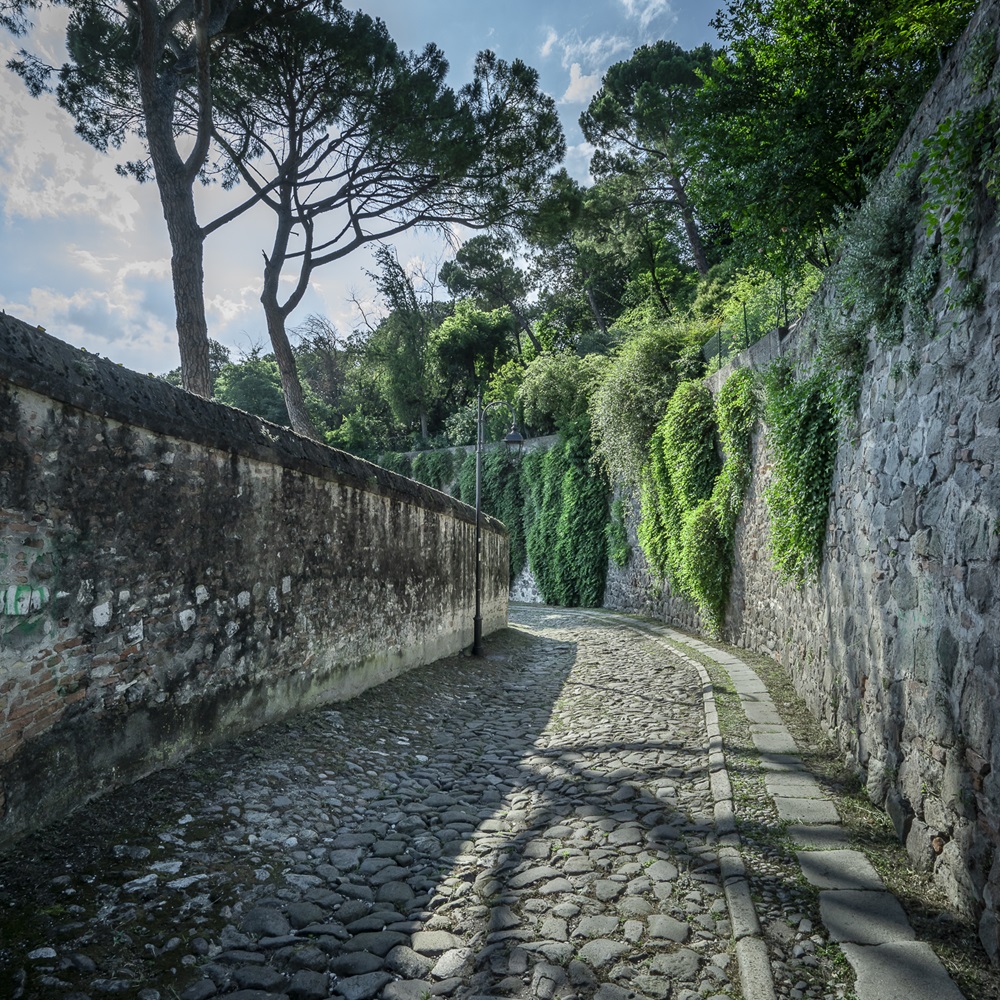 il fascino intatto di un percorso antico @ Villa Contarini detta Vigna Contarena