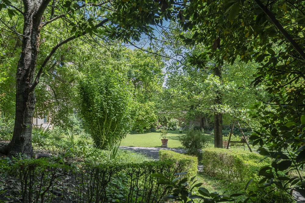 con qualche albero il giardino diventa parco @ Villa Sartori Borotto