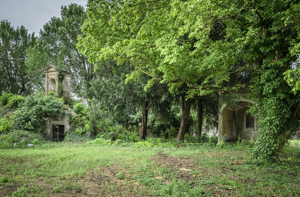 Un bordo di alberi e bizzarrie @ Palazzo Contarini (Ex-Sacro Cuore)