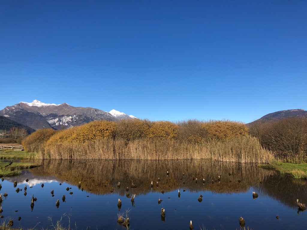 Le Palafitte di Fiavé @ Siti palafitticoli preistorici delle Alpi - Fiavé-Lago Carera