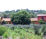 Azienda Agricola Tre Querce