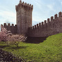 Mura del Castello carrarese