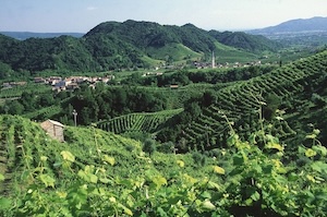 Valdobbiadene