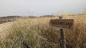 Geloi Wetland - Ass. Centro Territorio, Sviluppo e Ambiente e Uni Catania