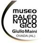 Museo Paleontologico Giulio Maini