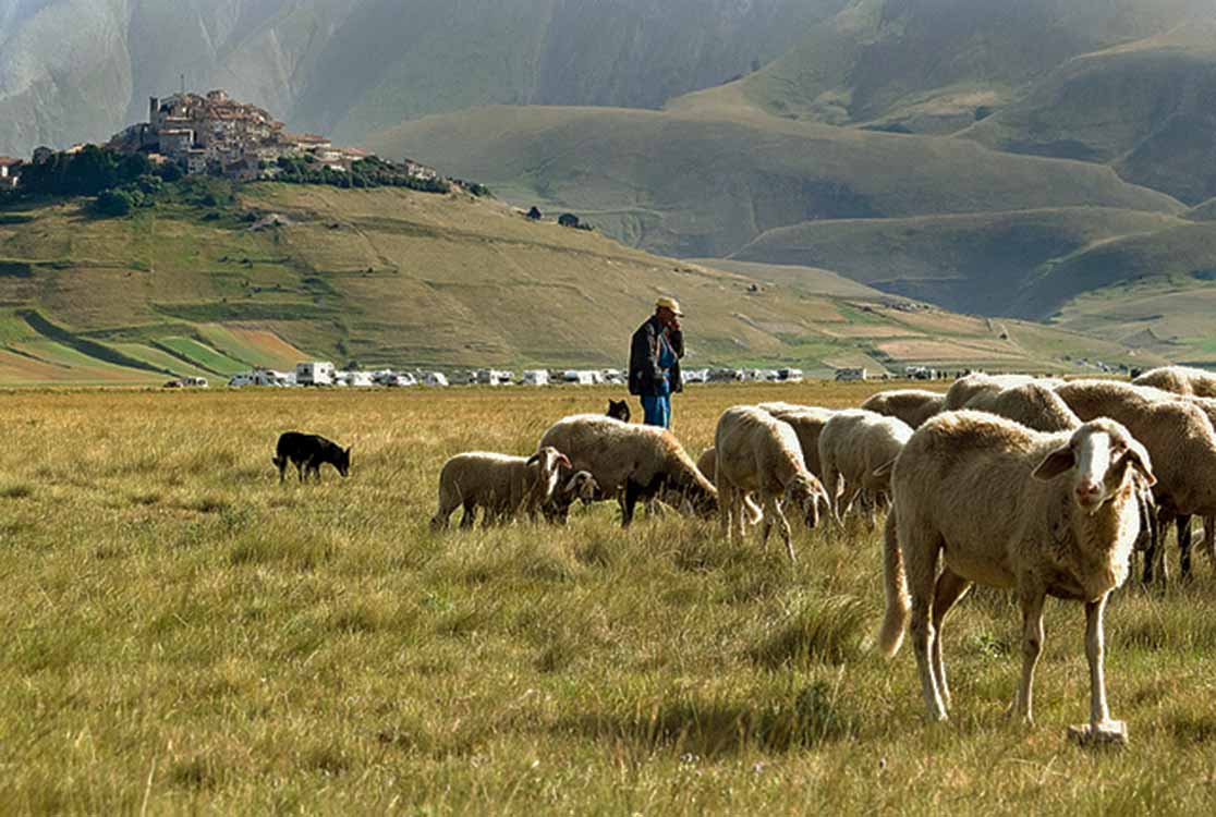 The returno of herds and flocks @ Castelluccio di Norcia