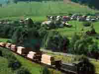 Forest Railway in Landscape of Cierny Balog